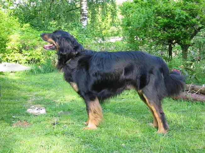 mister 27. maj 2002